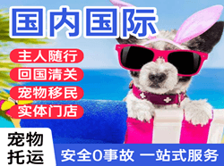 曹家堡空运公司国际宠物托运 【国